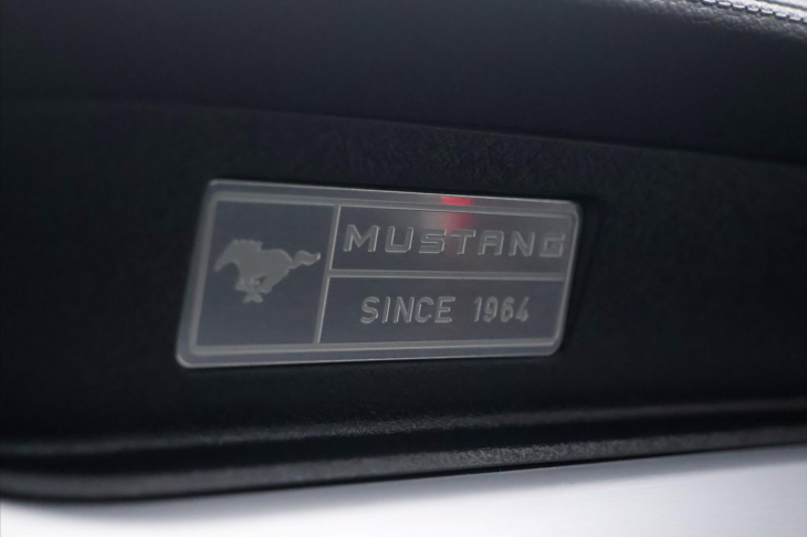 Ford Mustang 5,0 Ti-VCT V8 310kW