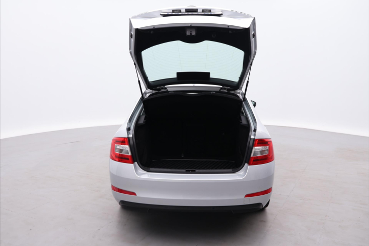 Škoda Octavia 2,0 TDI 110kW CZ Style Xenon